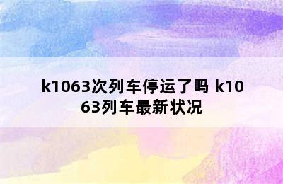 k1063次列车停运了吗 k1063列车最新状况